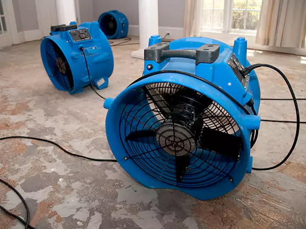 Water Damage Reconstruction in Tallapoosa