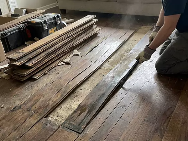 Water Damage Drying in Tallapoosa