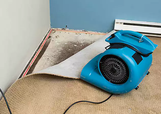 Your Water Damage Experts in Tallapoosa, GA