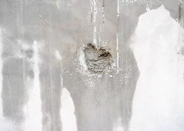 Your Mold Mitigation Solutions Partner in Tallapoosa, GA