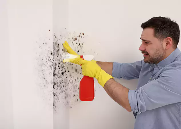 Your Water Mold Fire Restoration Partner in Tallapoosa, GA