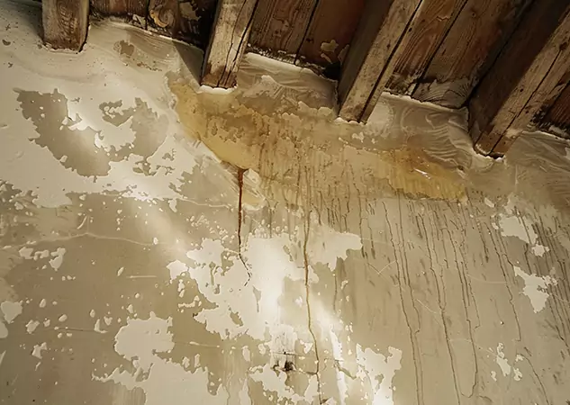 Your Trusted Restoration Company in Tallapoosa, GA