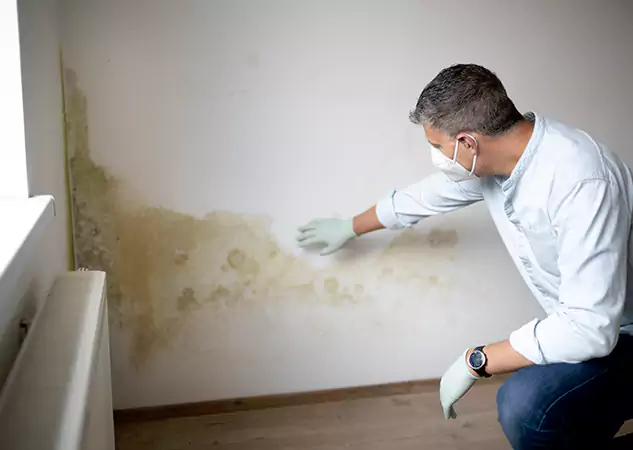 Reach Our Remediation Team Before Damage Grows in Tallapoosa, GA!