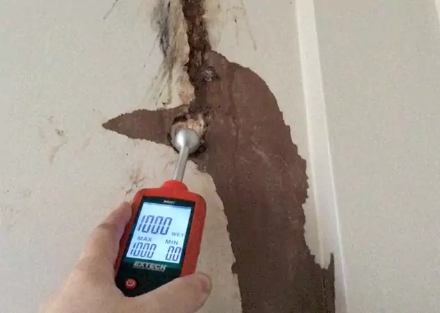 Your Water Damage Assessment Partner in Tallapoosa, GA