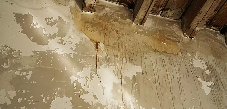 Professional Attic Water Damage Repair Services in Tallapoosa, GA