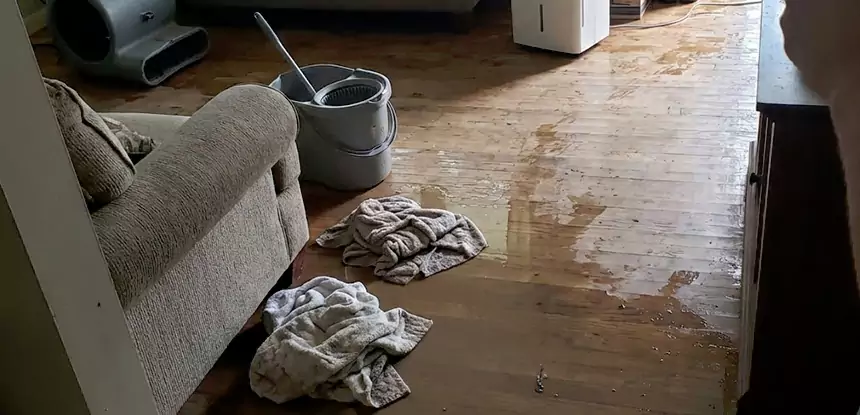 Professional Basement Water Remediation Services in Tallapoosa, GA