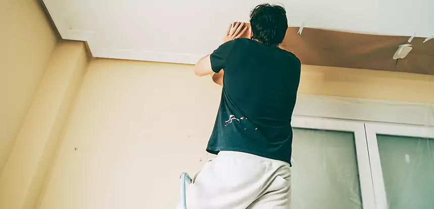 Ceiling Water Damage Repair in Tallapoosa