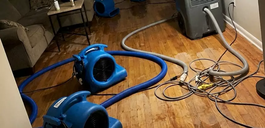 Basement Flood Restoration Services in Tallapoosa
