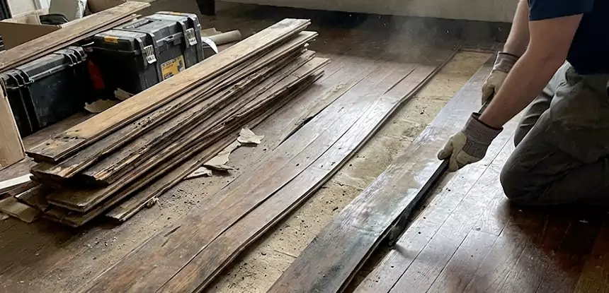 Wood Rot and Fungus Repair in Tallapoosa