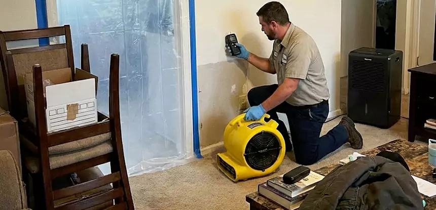Carpet Water Damage Repair Tallapoosa