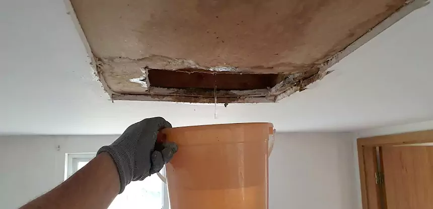 Ceiling Mold Repair Tallapoosa