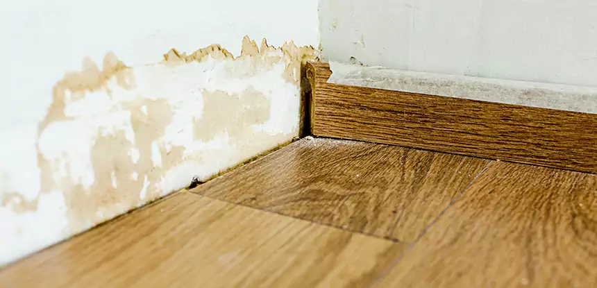 Professional Fix Water Damaged Wood Services in Tallapoosa, GA