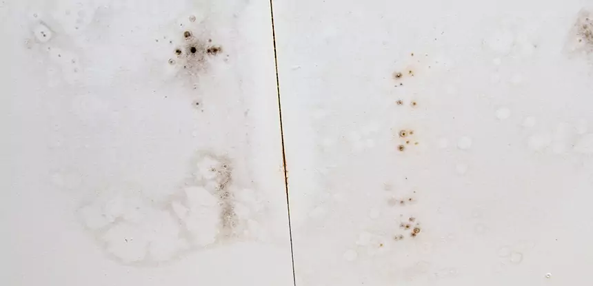 Professional Water Stain Repair Services in Tallapoosa, GA