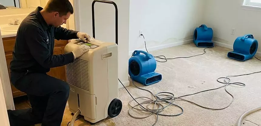 Professional Wet Carpet Removal Services in Tallapoosa, GA