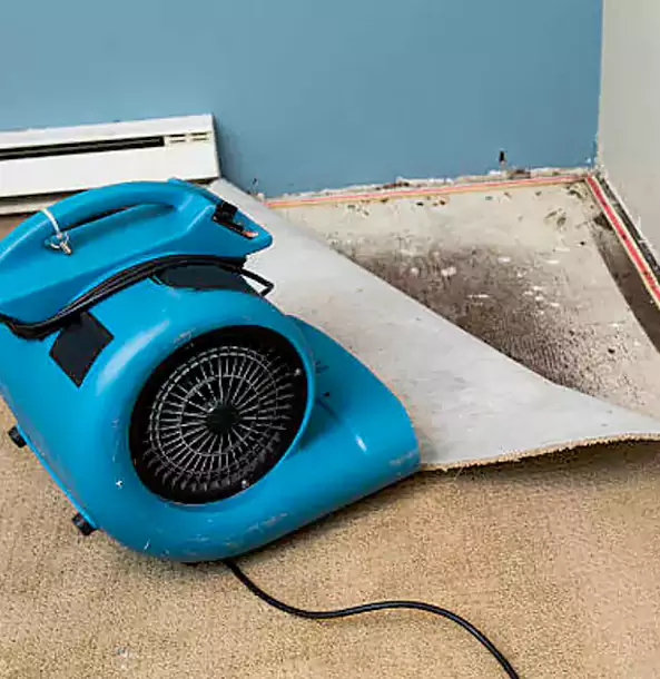 Why Tallapoosa Trusts Tallapoosa Restoration Pro for Carpet Flood Recovery?
