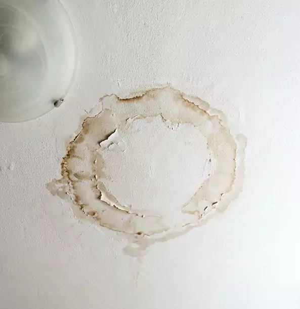 Why Tallapoosa Property Owners Choose Tallapoosa Restoration Pro for Ceiling Water Damage Restoration?