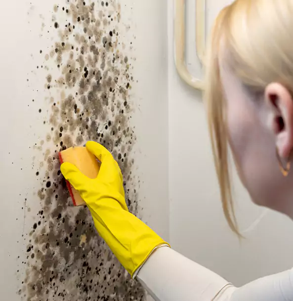 Why Tallapoosa Restoration Pro Leads Mold Remediation in Tallapoosa?