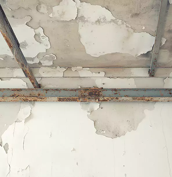 Why Tallapoosa Restoration Pro Is the Right Choice in Tallapoosa, GA?