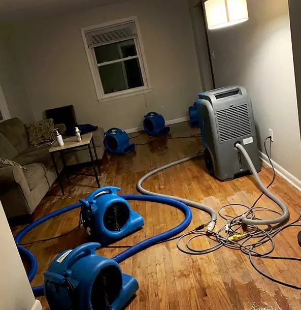 Why Tallapoosa Property Owners Rely on Tallapoosa Restoration Pro for Remediation?