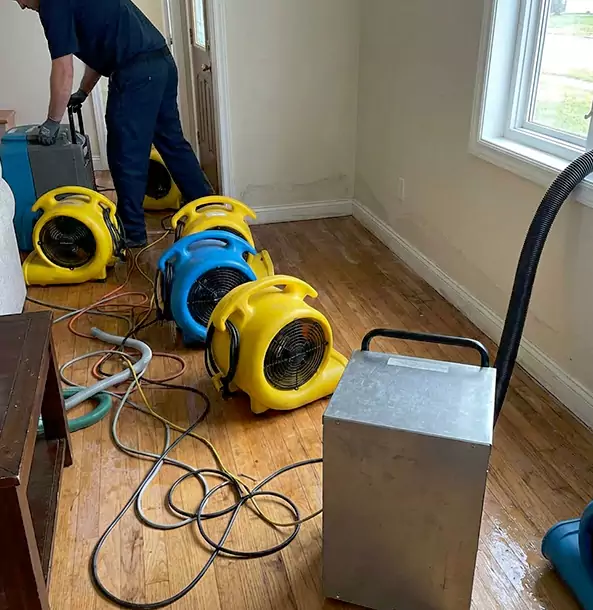 Why Tallapoosa Property Owners Choose Tallapoosa Restoration Pro for Remediation?