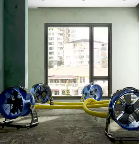 Why Tallapoosa Property Owners Trust Tallapoosa Restoration Pro for Water Damage Drying?