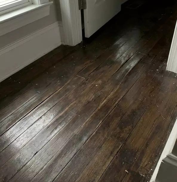 Why Tallapoosa Homeowners Trust Tallapoosa Restoration Pro to Fix Water Damaged Wood?