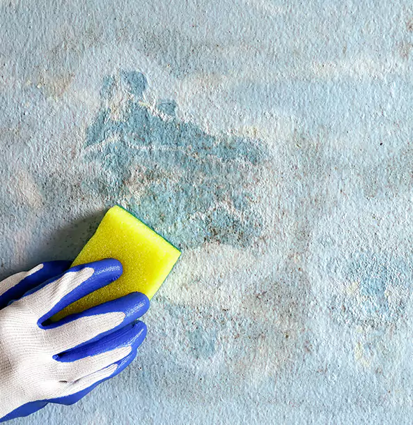 Why Tallapoosa Restoration Pro Is the Right Choice in Tallapoosa, GA?