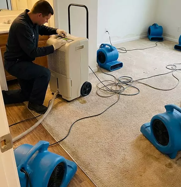 Why Tallapoosa Homeowners and Businesses Trust Tallapoosa Restoration Pro for Carpet Drying?