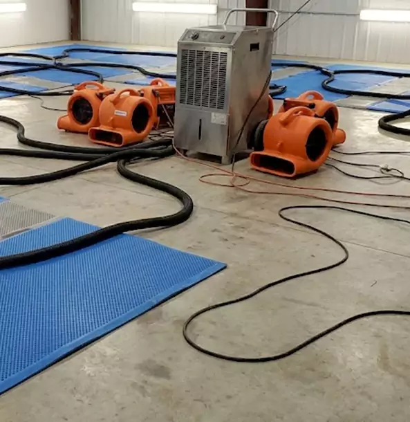 Why Tallapoosa Homeowners and Businesses Choose Tallapoosa Restoration Pro for Wet Carpet Removal?