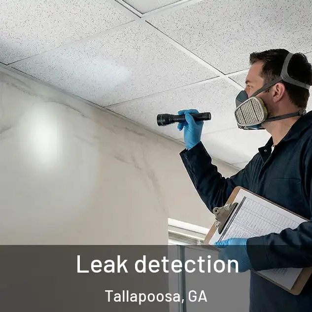  Leak detection Tallapoosa, GA