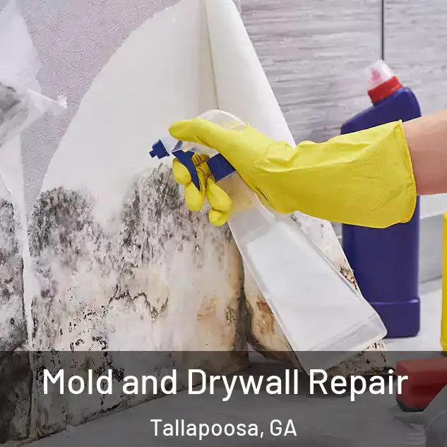  Mold and Drywall Repair Tallapoosa, GA