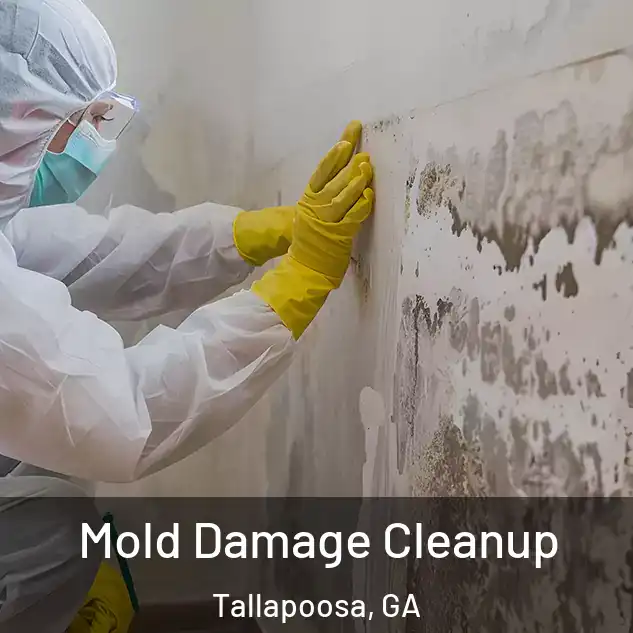  Mold Damage Cleanup Tallapoosa, GA