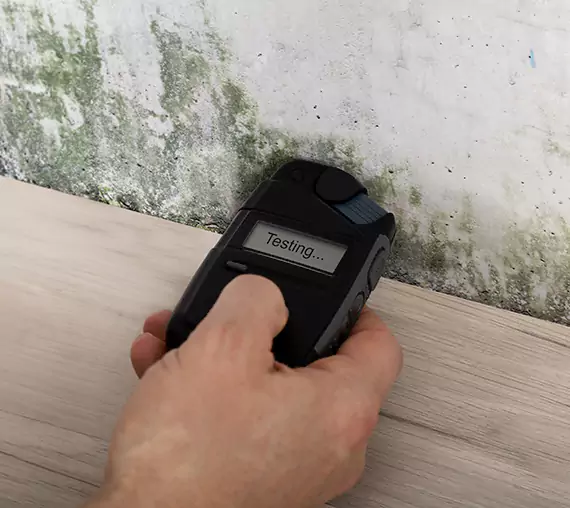Mold Remediation Service Tallapoosa