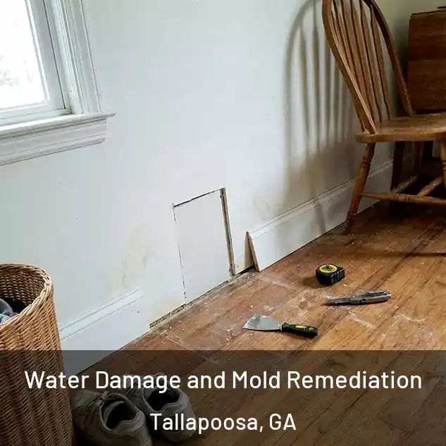 Water Damage and Mold Remediation Tallapoosa, GA
