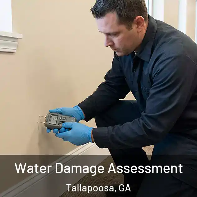  Water Damage Assessment Tallapoosa, GA