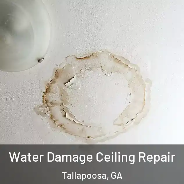  Water Damage Ceiling Repair Tallapoosa, GA