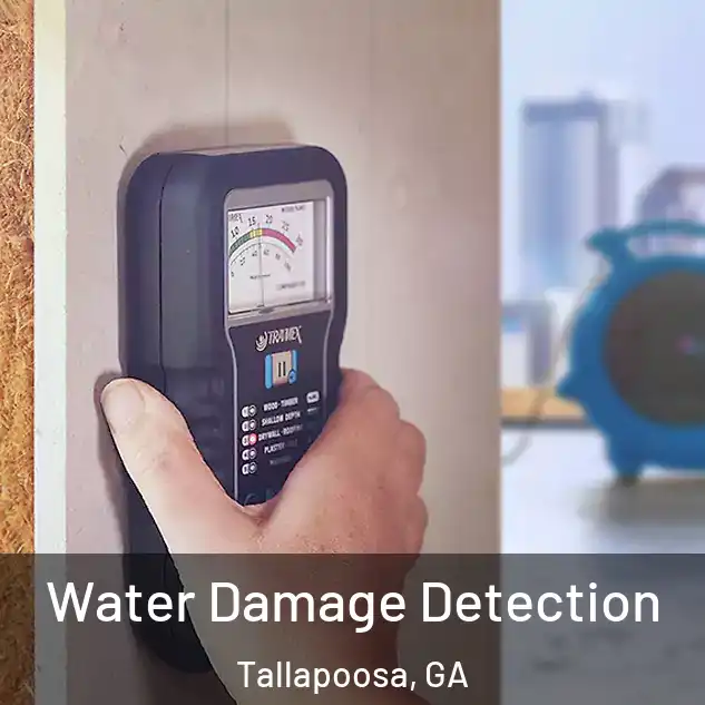  Water Damage Detection Tallapoosa, GA