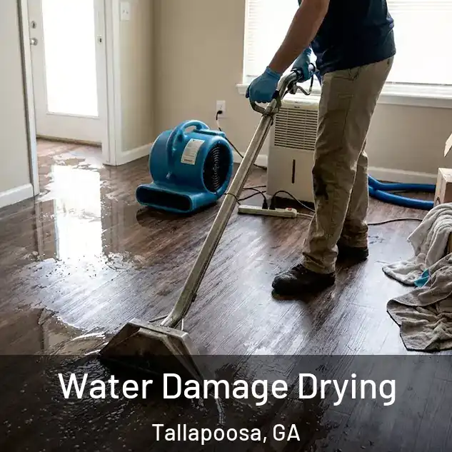 Water Damage Drying Tallapoosa, GA