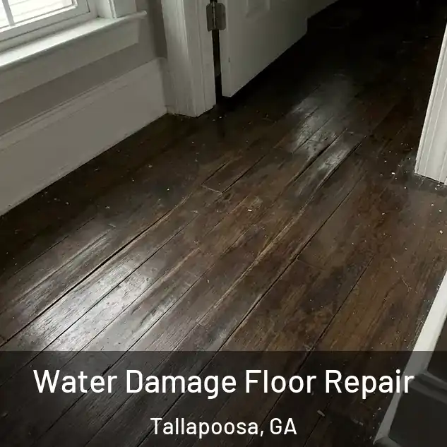  Water Damage Floor Repair Tallapoosa, GA