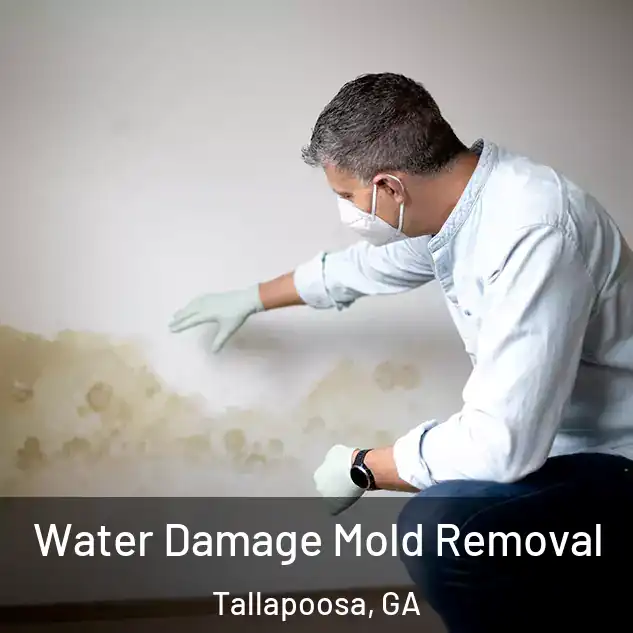  Water Damage Mold Removal Tallapoosa, GA