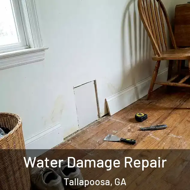  Water Damage Repair Tallapoosa, GA