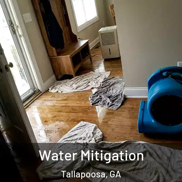  Water Mitigation Tallapoosa, GA