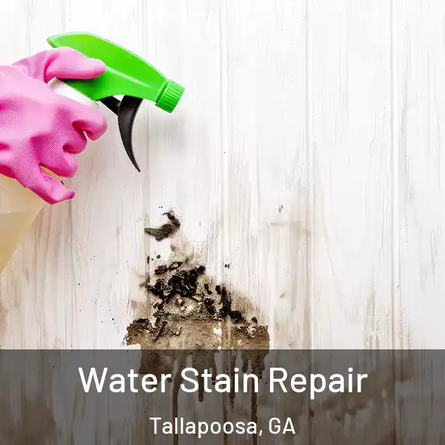  Water Stain Repair Tallapoosa, GA