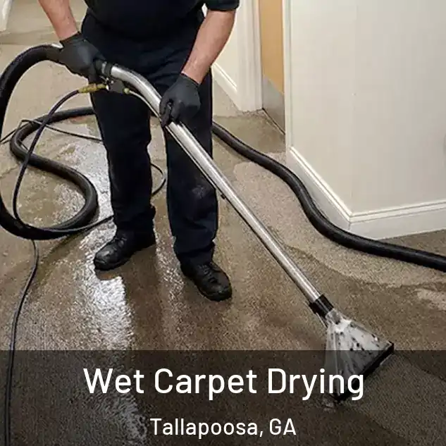  Wet Carpet Drying Tallapoosa, GA